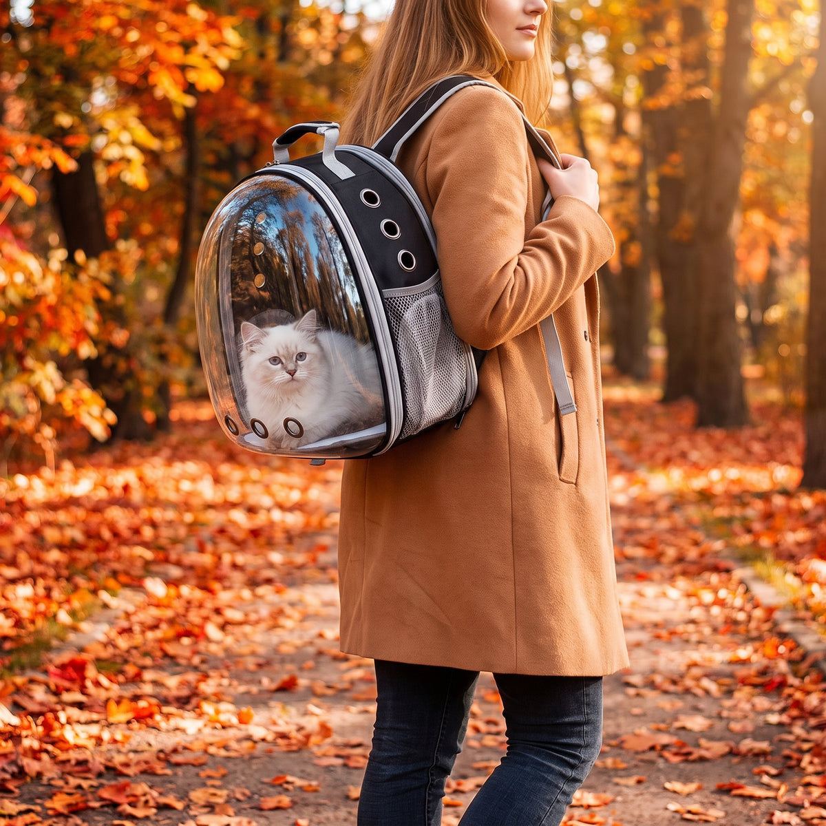 Carrier Backpacks for Cat and Dog - black
